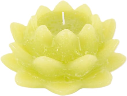 Rasteli Luz Your Kaars Waterlelie Groen-Lime Groen D 8 cm H 13.5 cm