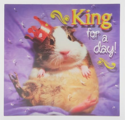 Depesche - 3d wenskaart met cavia en de tekst "King for a day" - 009