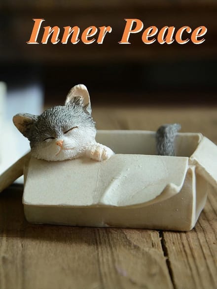 Set van 6 Miniatuur Kat Beeldjes voor Feeëntuin en Diorama