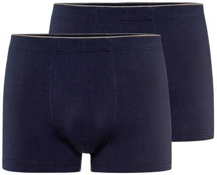 Hanro Heren retro short / pant 2 pack Cotton Superior