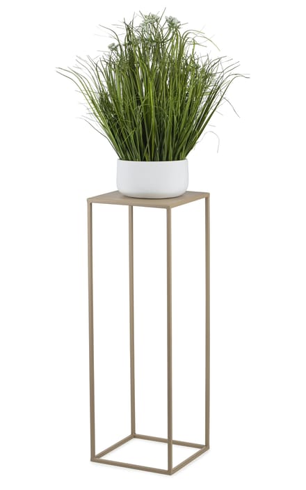 HowHomely - Stalen Plantenstandaard - Beigemetaal - 70 cm - Minimalistisch Design