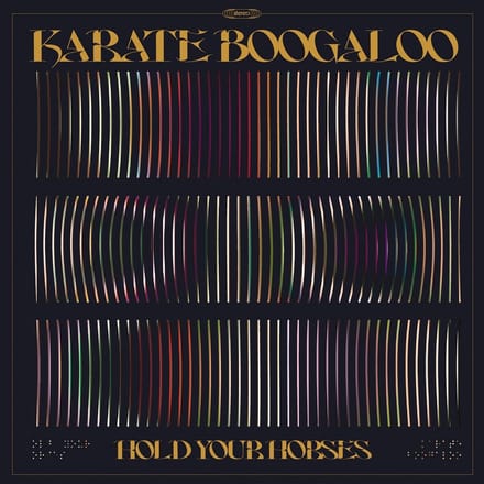 Karate Boogaloo - Hold Your Horses (CD)