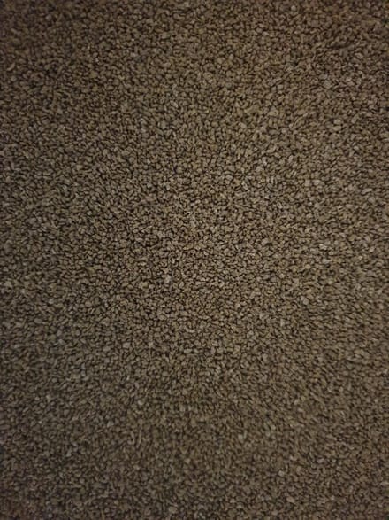 Spirulina granulaat medium (1,2 - 1,5mm)
