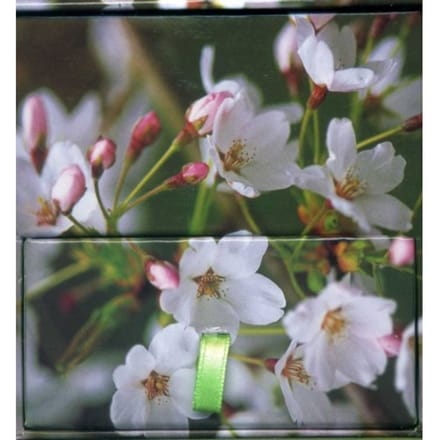 Memo Block Cherry Blossom - Peony Press