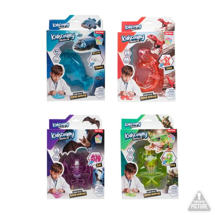 KIDSCOVERY Slijm uitgraafset -Dier- mt tool 4ass +