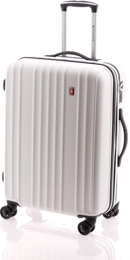 Gladiator Zebra M Spinner 67 Expandable - Wit