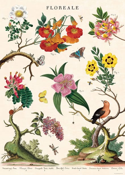 Poster Floreale - Cavallini & Co - Vintage schoolplaat - Posters