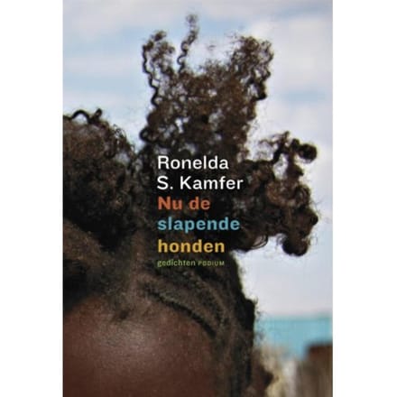 Nu De Slapende Honden - Ronelda S. Kamfer