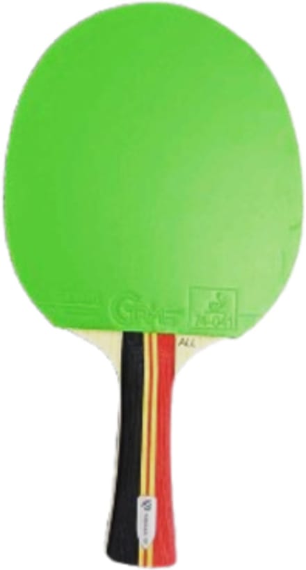Tibhar Tafeltennisbatje Lilou Massart Allround – Ideaal voor beginners en competitieve starters