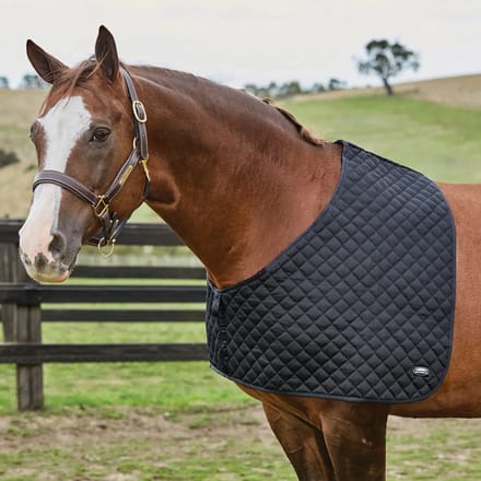 Schouderbeschermer voor paarden Weatherbeeta Deluxe