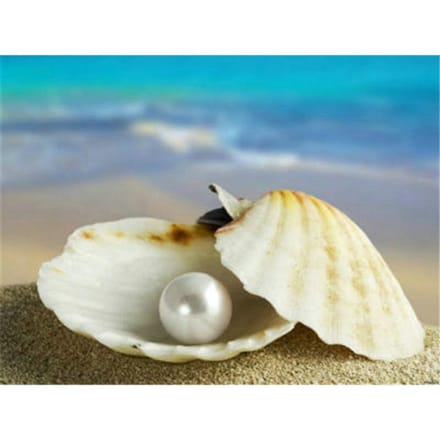 Diamond Painting Shell Diy Diamond Painting 5d Diamond Painting Aankomsten 20X30CM blue