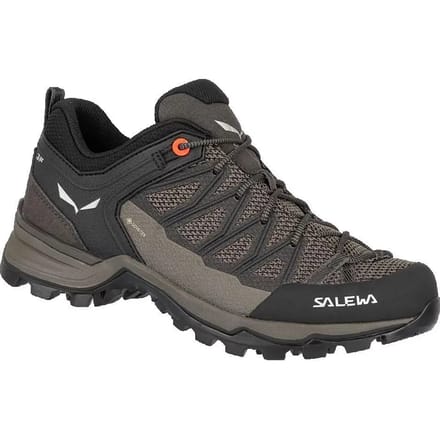 Dameswandelschoenen Salewa Mtn Lite