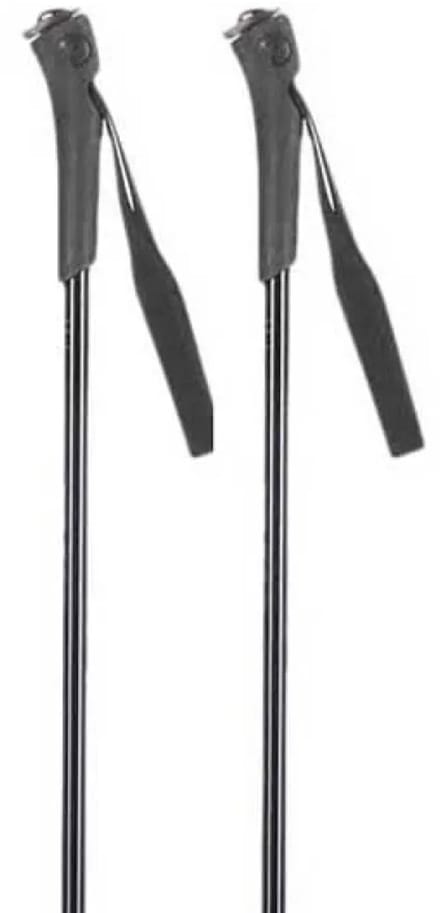 Rossignol Ft-501 Junior Stokken Zilver 80 cm Kinderen