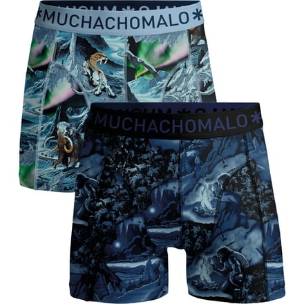 Muchachomalo Boys 2-pack boxer shorts prehistory