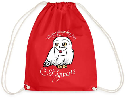 Harry Potter Hedwig Met Brief Waiting For My Letter Gymtas