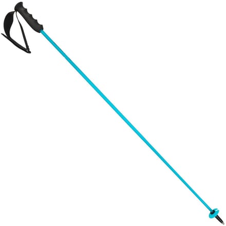 HEAD - worldcup rebels carbon - Skistokken heren - Blauw