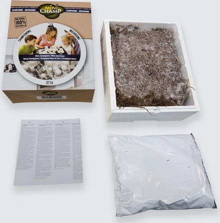 Thuiskweekpakket Bruine Champignon 7.5 Ltr