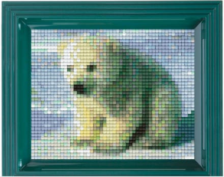 Pixelhobby set poolbeertje 31036