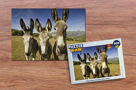 Puzzel Drie ezels in een weiland - Legpuzzel - Puzzel 500 stukjes
