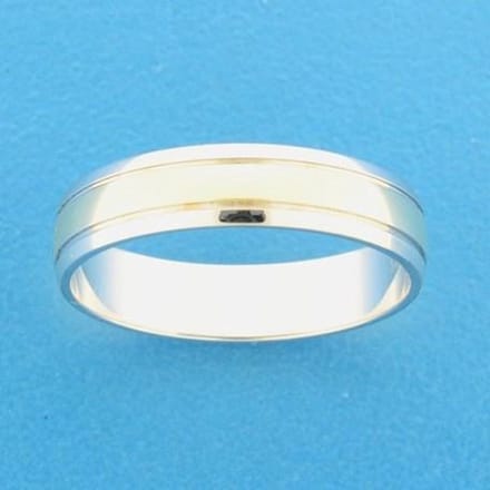Ring A419 - 5 mm - zonder steen - PSN4207656