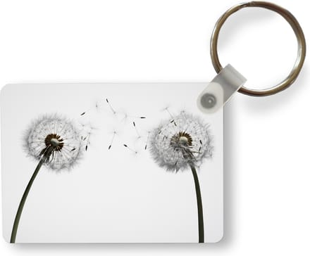 Sleutelhanger - Illustratie - Zaden - Paardenbloem - Uitdeelcadeautjes - Plastic