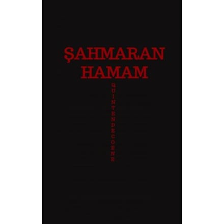 Şahmaran Hamam - Quinten De Coene
