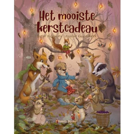Het Mooiste Kerstcadeau - Ineke Kraijo