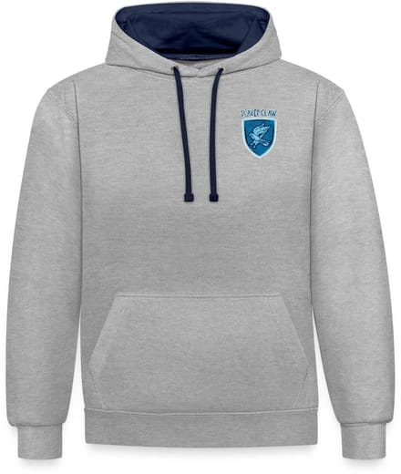 Harry Potter Ravenclaw Logo small Contrast Hoodie
