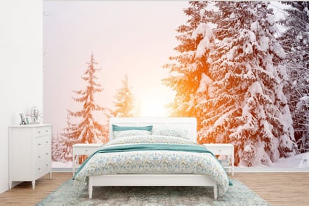 Behang - Fotobehang Zon - Bomen - Sneeuw - Breedte 295 cm x hoogte 220 cm