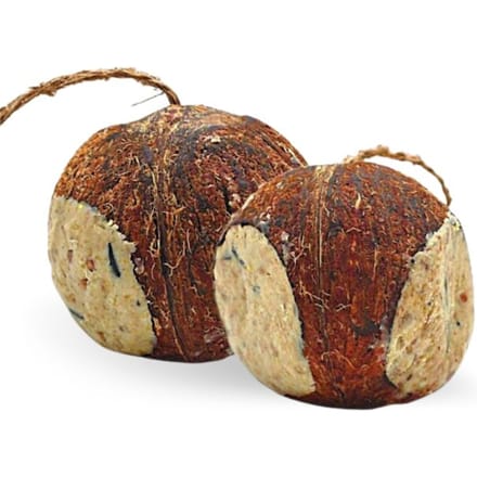 2 x 4 stuks Lyra Pet® gevulde kokosnoten met gaatjes