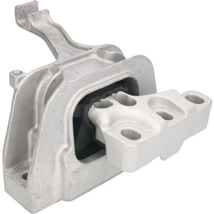 Motorsteun REINHOCH RH11-0109