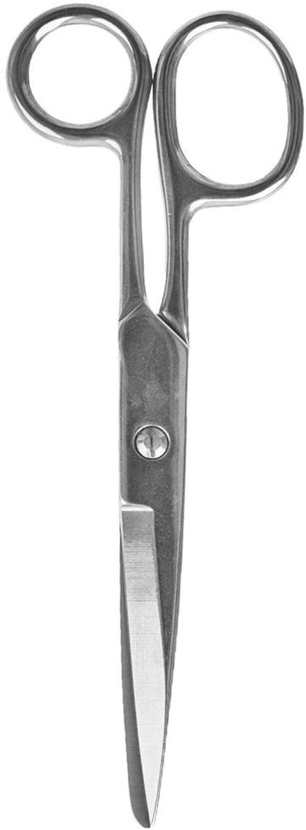 Orion - Universele RVS Schaar - 17 cm - Comfortabele Handgreep - Duurzaam
