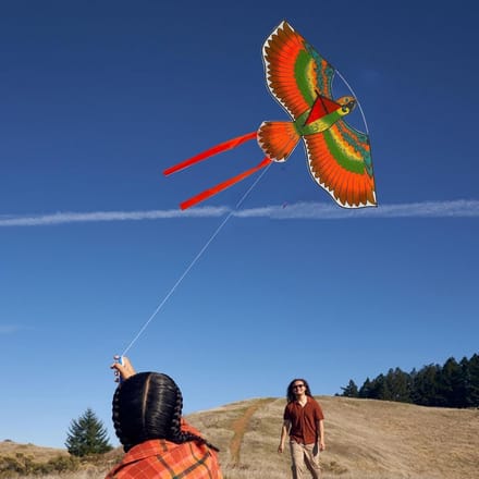 Adelaarsvlieger - Vlieger Speelgoed - Buiten Spelen - Lichtgewicht Ontwerp - 145 cm Ketting - Multicolor