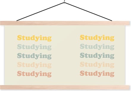 Posterhanger incl. Poster 150x75 cm - Schoolplaat - Quotes - Studenleven - Leren - Studenten - Textielposter - Blanke latten