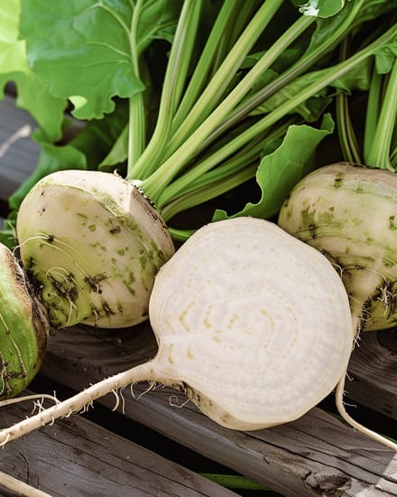 5 sets - Biet Zaden Albina Vereduna Wit Beta Vulgaris Eenjarig