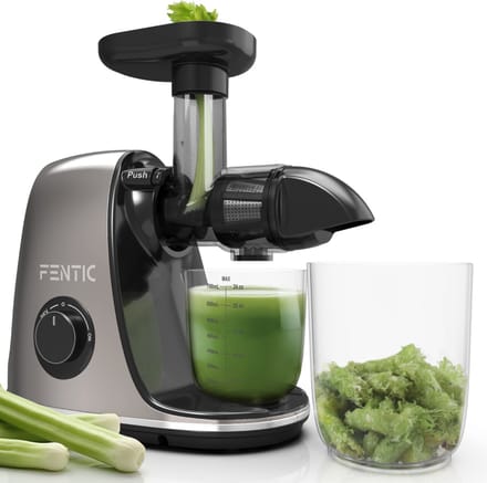 Fentic Slow Juicer - Sapcentrifuge voor Groenten en Fruit - Juicer met Pulpreservoir - Fruitpers - 700ml - Juice Maker - Antraciet