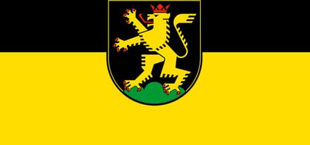Vlag Heidelberg 100x150cm