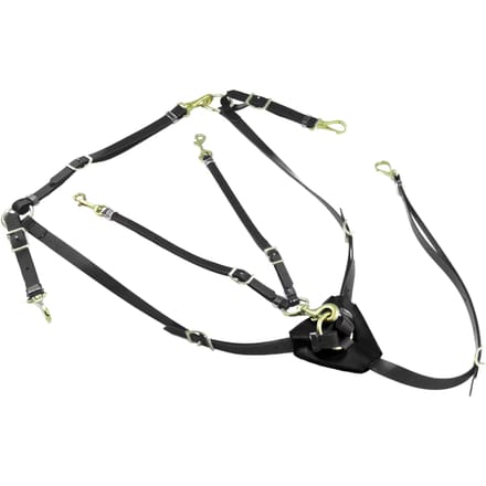 Jachtcollier met martingale in biothaan Lakota