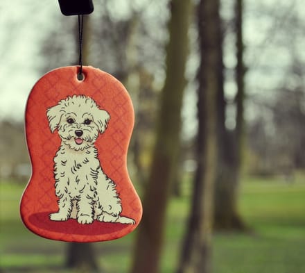 Dogs - Car Airfreshner - Maltezer - Bergamot
