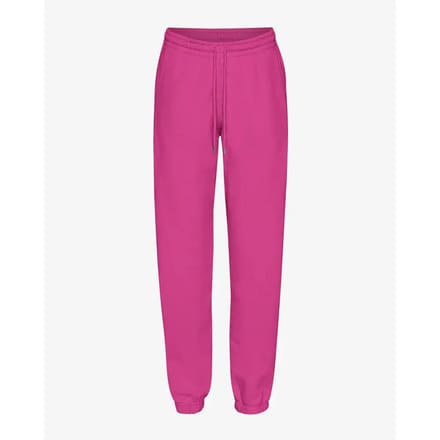 Jogging Colorful Standard Magenta Blaze