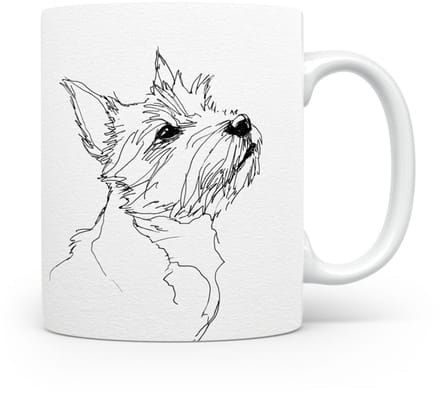 Beker Norwich Terrier