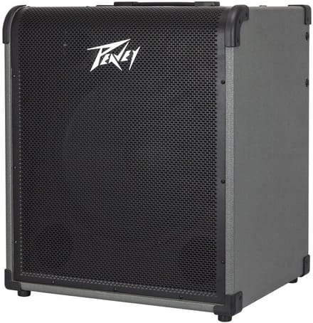 Peavey MAX 250 1 x 15 inch basgitaarversterker