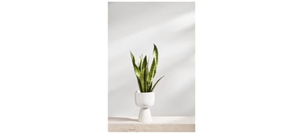 Iittala Nappula Bloempot - wit - 26 x 15,5 cm