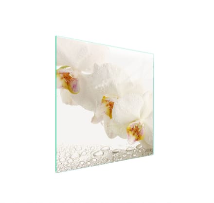 TMK ArtDeko Serie - Glazen Beschermplaat - 50x52 cm - Orchidee