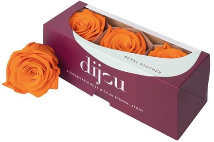 3x Dc pres.rozen orange 1505c