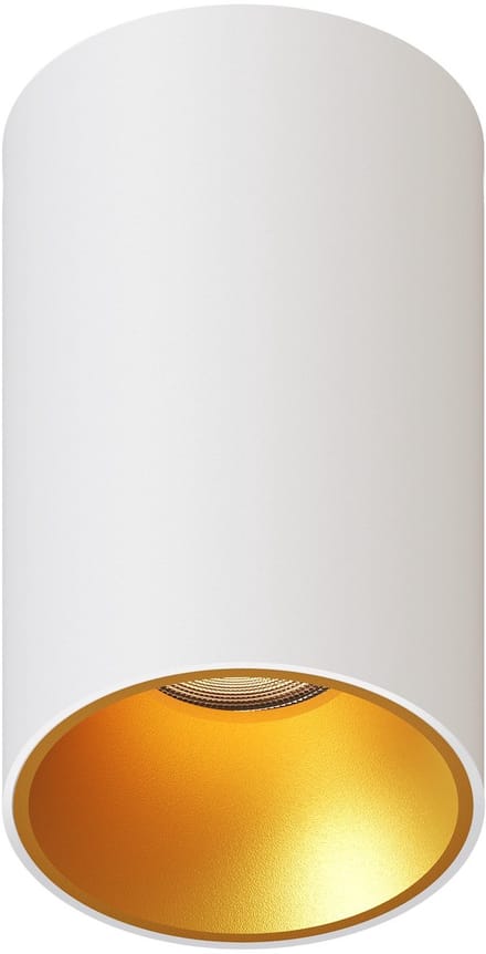 Ledvion – LED Opbouwspot Rond ø80mm – Wit / Goud – Dimbaar – GU10 – 2700K – 3W – IP20