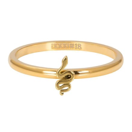 iXXXi Ring Symbol Snake Goud | Maat 19