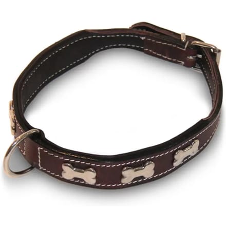 Platte hondenhalsband met bot HFI