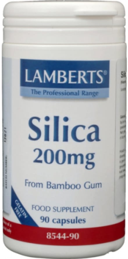 Silica (Bamboe) /L8544-90
