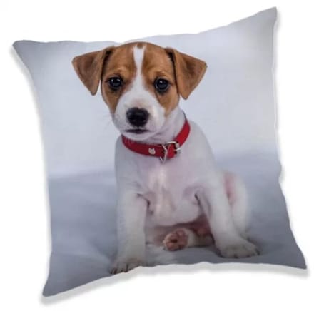 Animal Pictures Kussen Puppy - 40 x 40 cm - Polyester